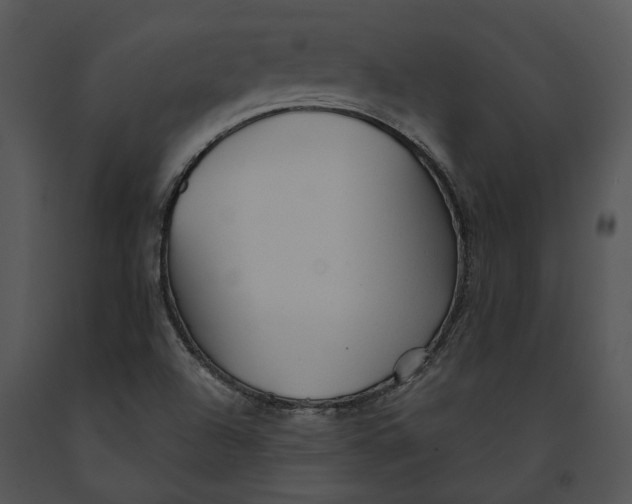 X0000091191504200708301226