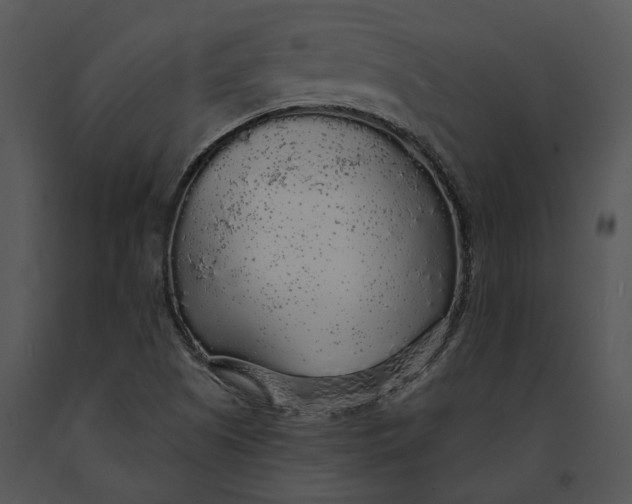 X0000091191505200708301226