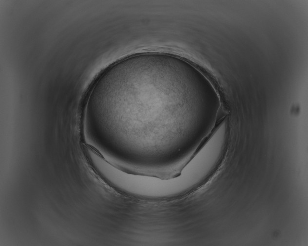 X0000091191506200708301226