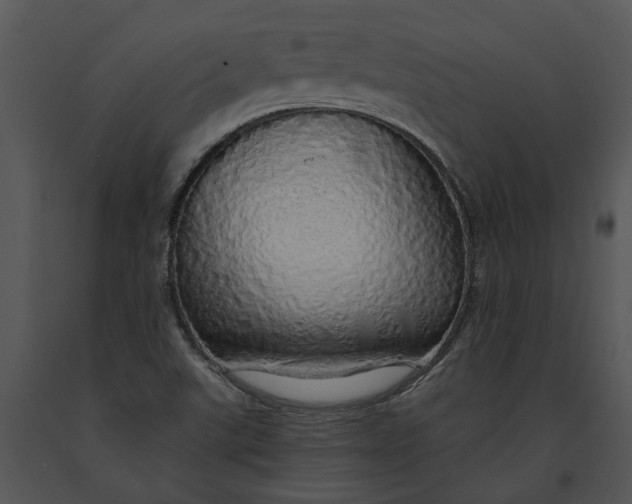 X0000091191507200708301226