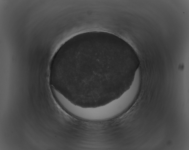 X0000091191508200708301226