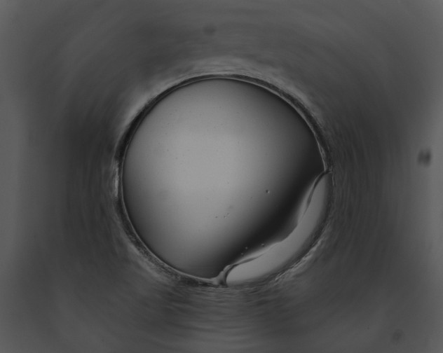 X0000091191509200708301226