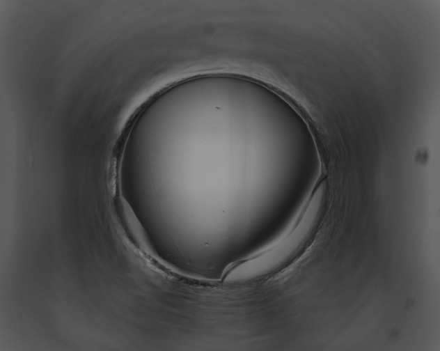 X0000091191510200708301226