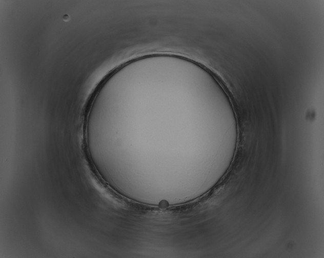 X0000091191511200708301226