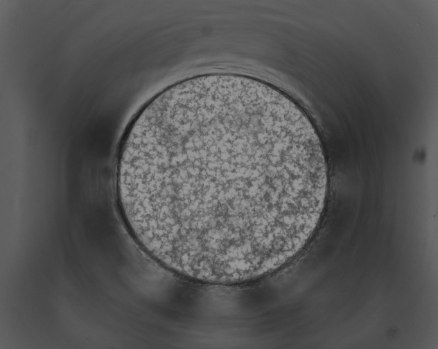 X0000091191514200708301226