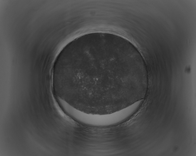 X0000091191515200708301226