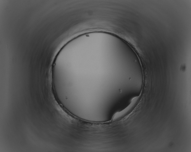 X0000091191516200708301226