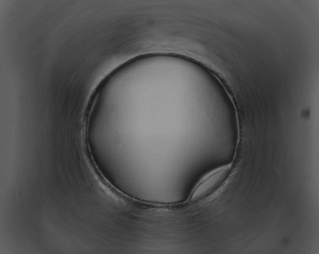 X0000091191517200708301226