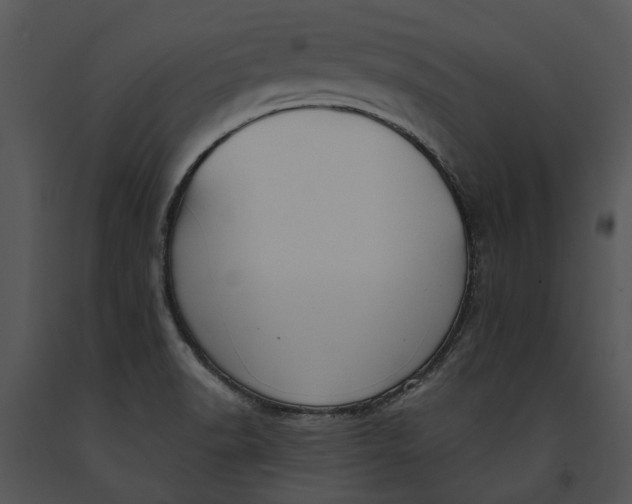 X0000091191518200708301226