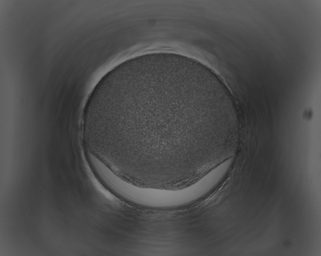 X0000091191519200708301226