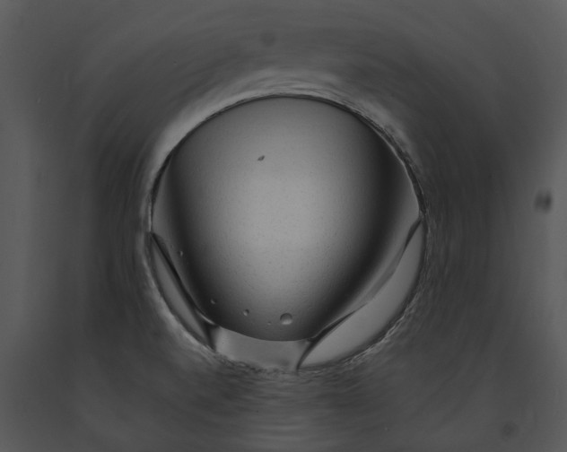 X0000091191520200708301226