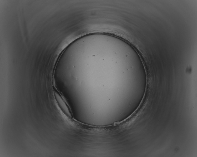 X0000091191521200708301226