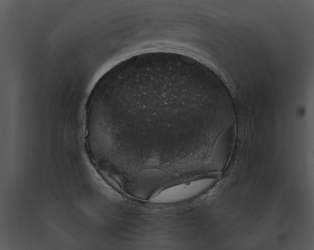 X0000091191522200708301226