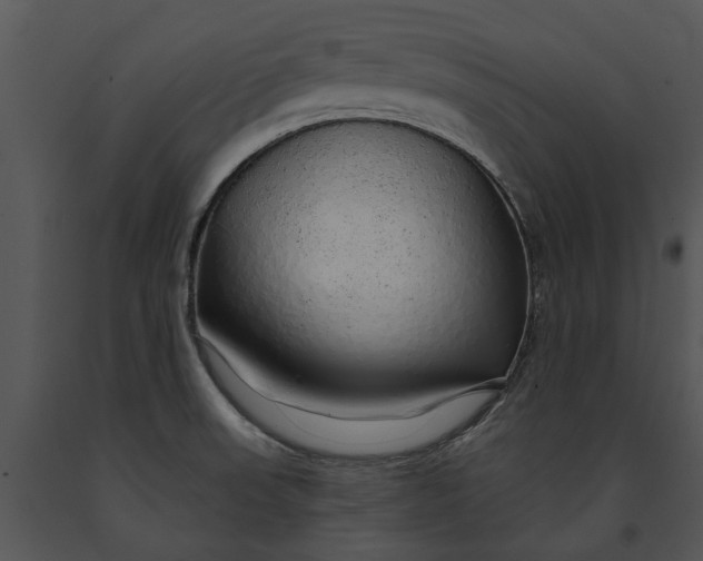 X0000091191523200708301226