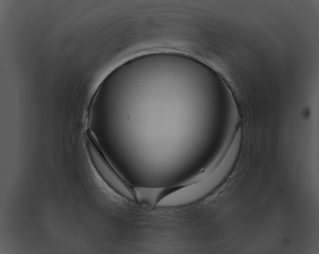 X0000091191524200708301226