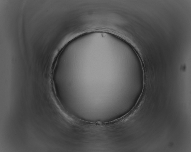 X0000091191525200708301226