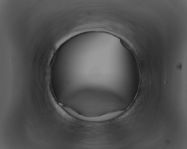 X0000091191526200708301226