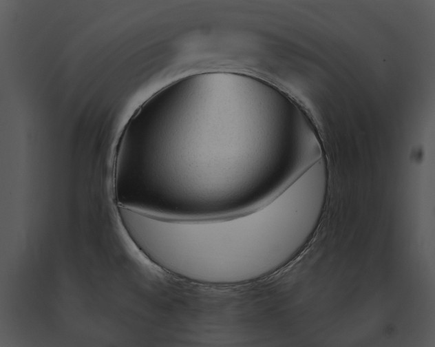 X0000091191528200708301226