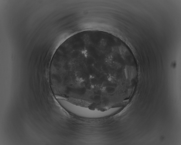 X0000091191529200708301226