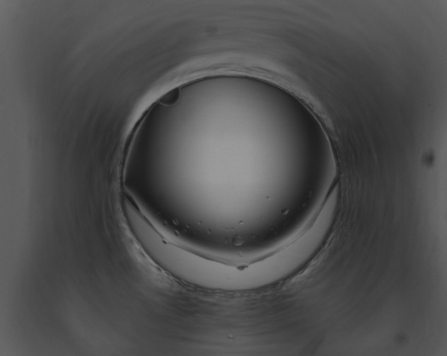 X0000091191530200708301226