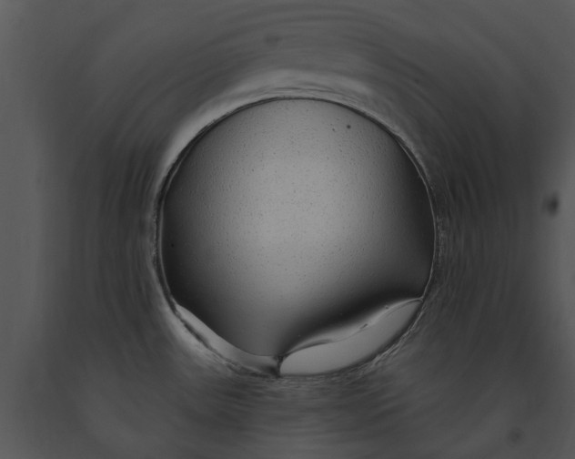 X0000091191531200708301226