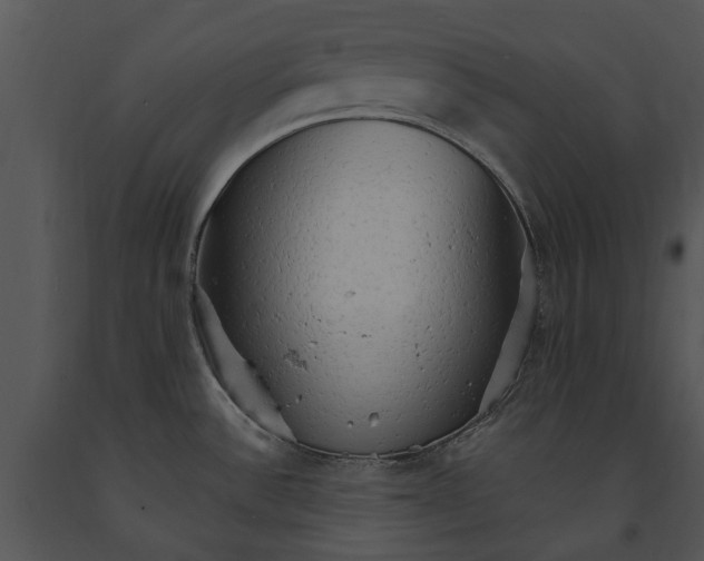 X0000091191532200708301226