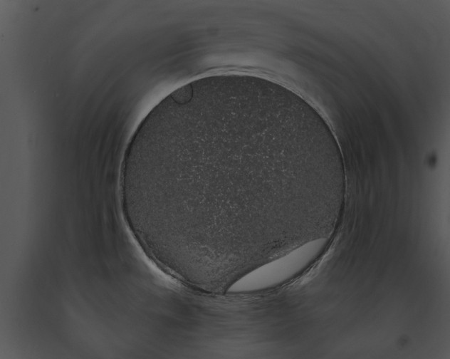 X0000091191533200708301226