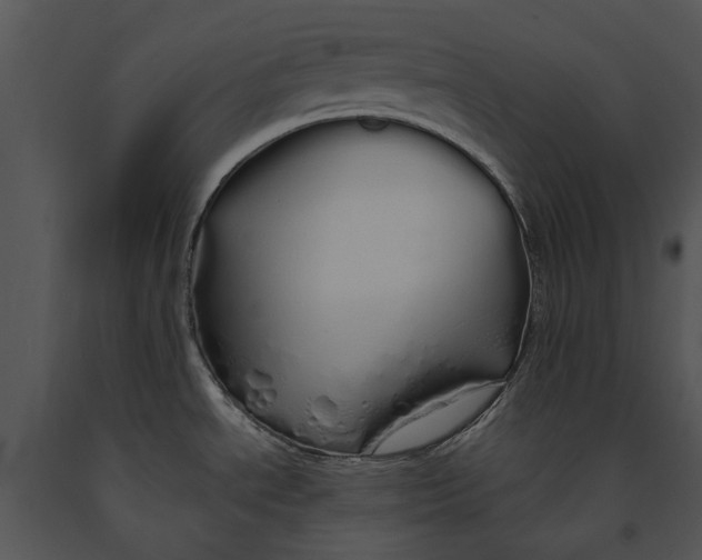 X0000091191534200708301226