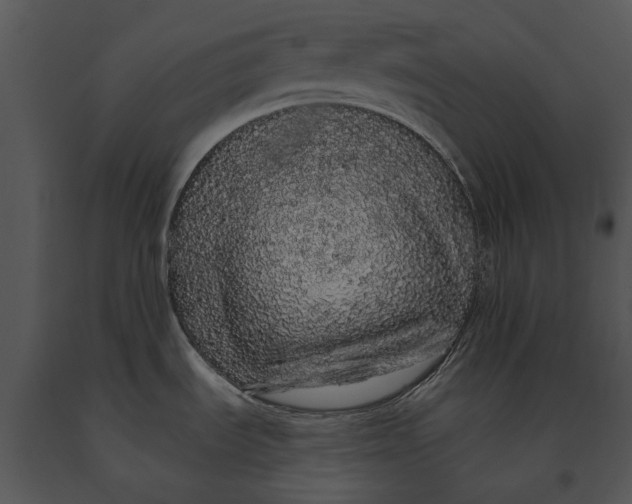 X0000091191535200708301227