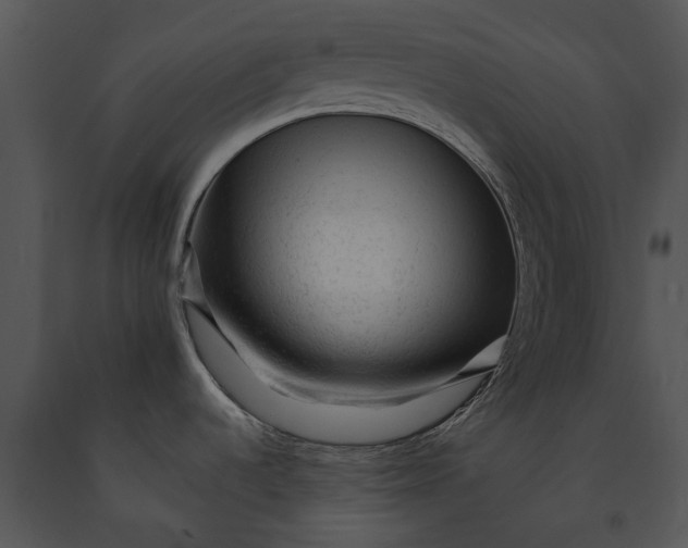 X0000091191536200708301227