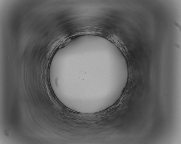 X0000091190001200709061023