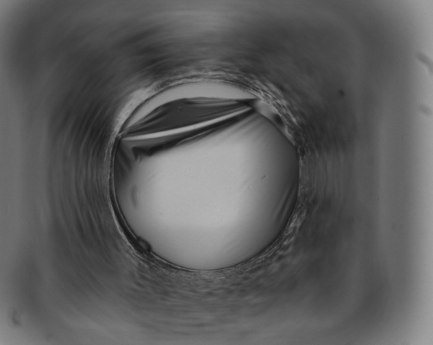 X0000091190003200709061023