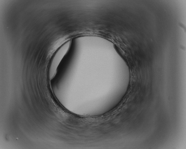 X0000091190005200709061023