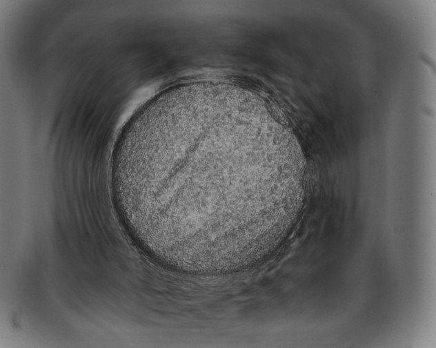 X0000091190006200709061023