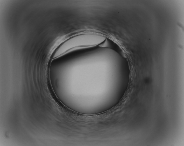 X0000091190007200709061023