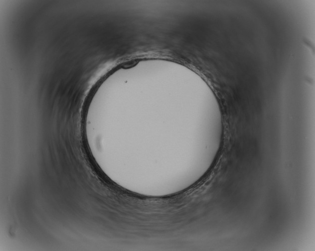 X0000091190008200709061023