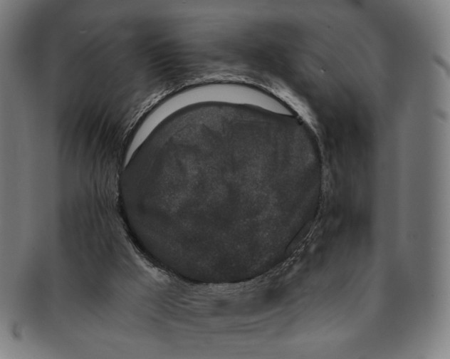 X0000091190009200709061023