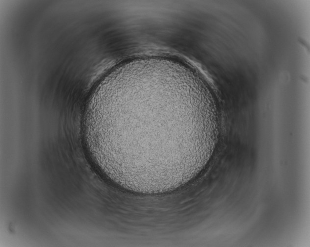 X0000091190010200709061023