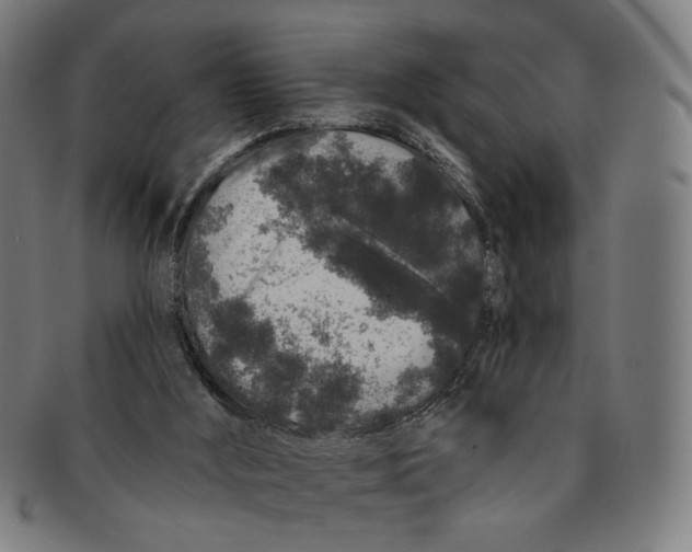 X0000091190012200709061023