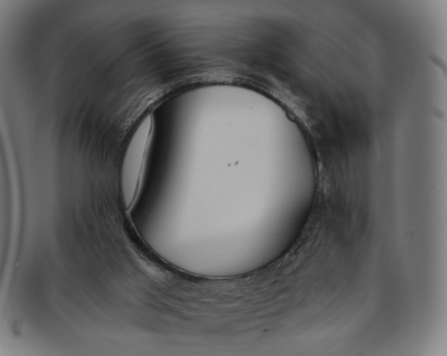 X0000091190013200709061023