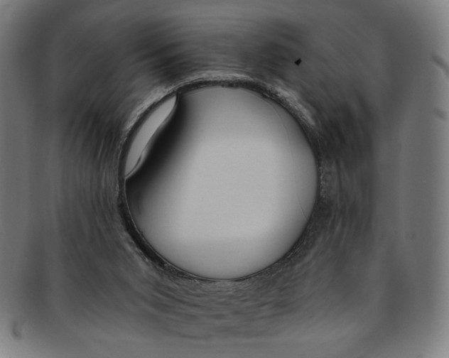 X0000091190015200709061023