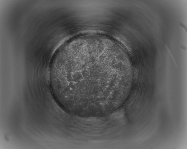 X0000091190016200709061023