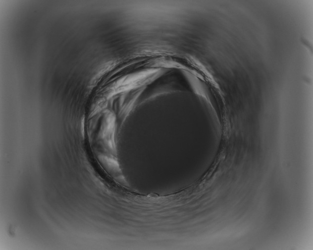 X0000091190019200709061023