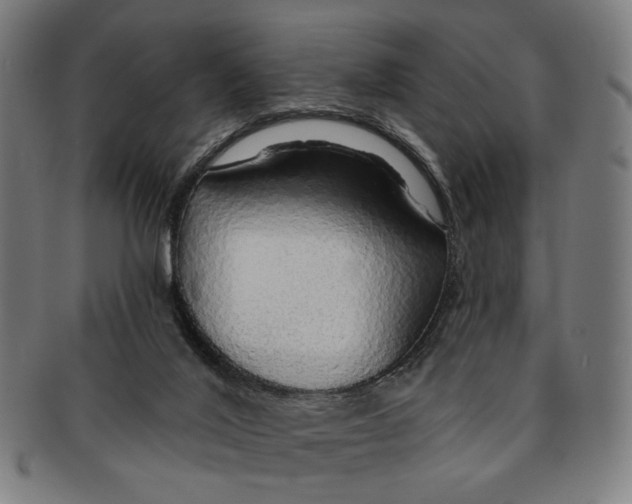 X0000091190020200709061023