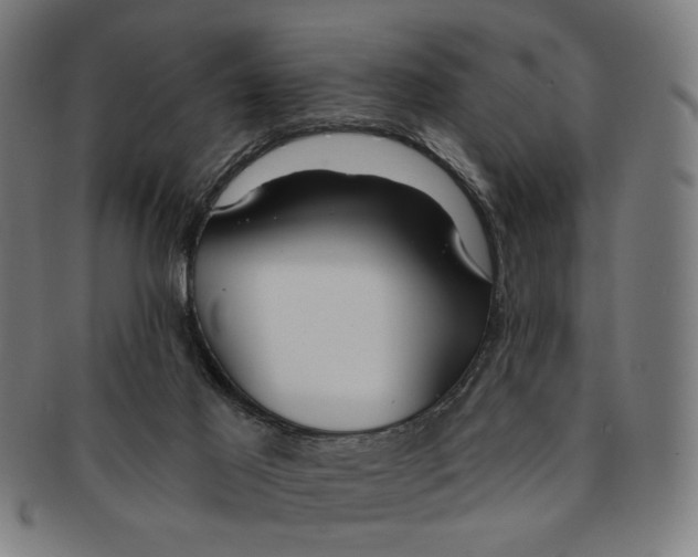 X0000091190021200709061023