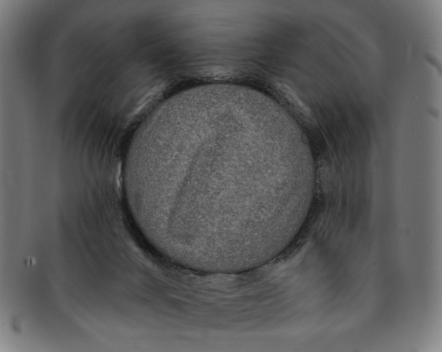 X0000091190024200709061023