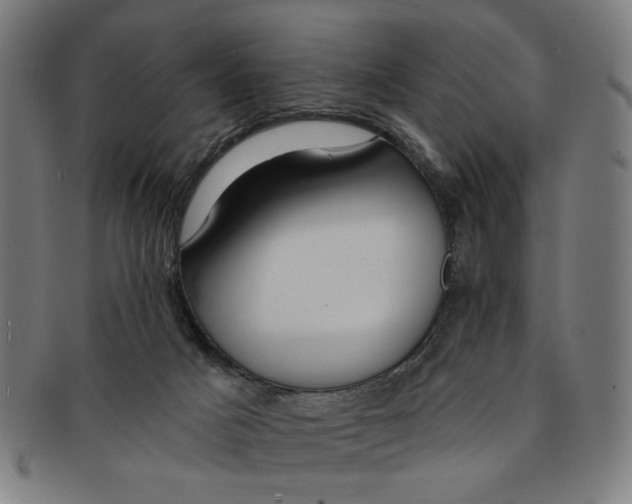 X0000091190025200709061023