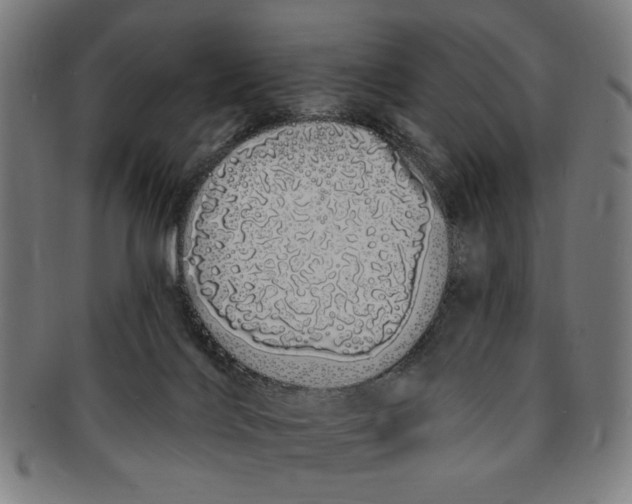 X0000091190028200709061023