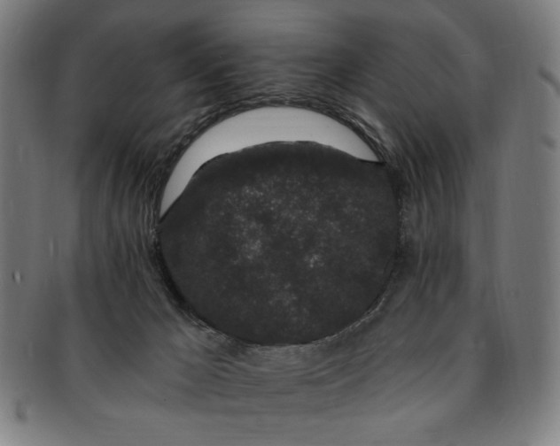 X0000091190029200709061023