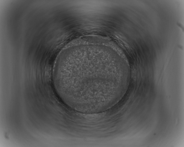 X0000091190030200709061023